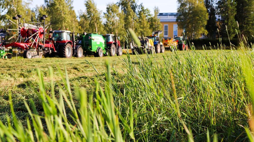 Kirkasta visiosi ja ota askelmerkit eteenpäin