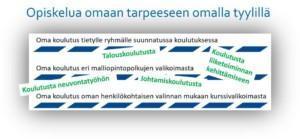 Graafinen kuvaus opiskeluista. Kuvassa lukee: Opiskelua omaan tarpeeseen omalla tyylillä. Talouskoulutusta. Koulutusta liikeotoiminnan kehittämiseen. Oma koulutus eri malliopintopolkujen valikoimasta. Koulutusta neuvontatyöhön. Johtamiskoulutusta. Oma koulutus henkilökohtaisen valinnan mukaan kurssivalikoimasta.