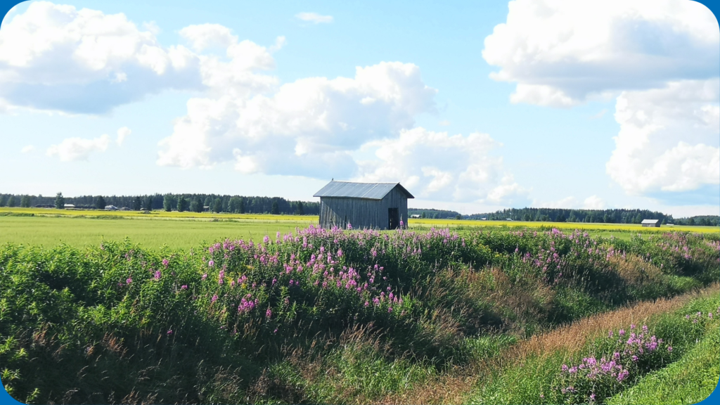 Kuvassa latomaisema