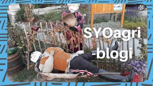 SYOagri blogi maatilayrittäjän elämänhallinta.