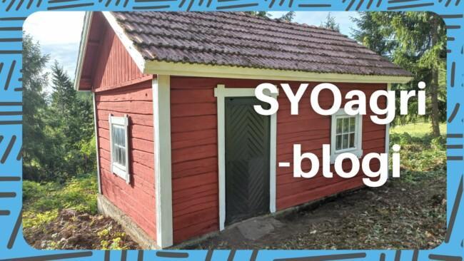 SYOagri blogi punainen sauna.