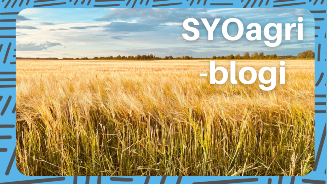 SYOagri blogi peltoa.