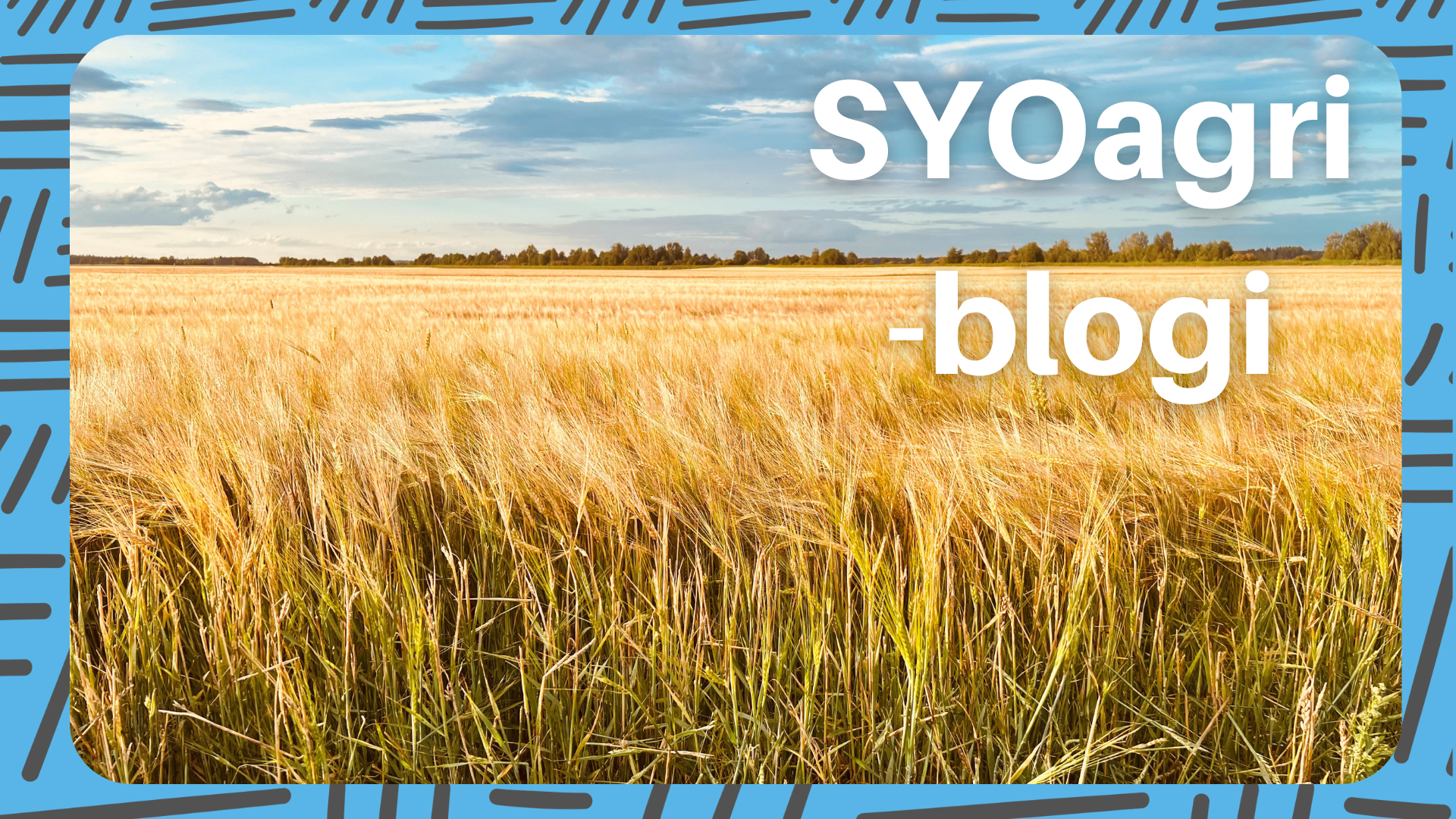 SYOagri blogissa peltomaisema.