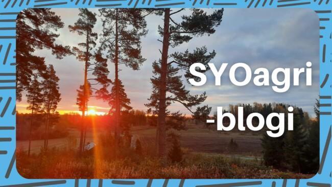 SYOagri blogi maatilalla osataan katsoa kauas.