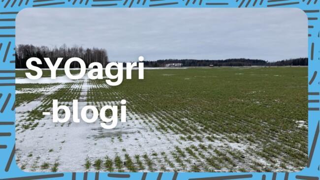 Suomen yrittäjäopiston Agritiimin blogi. Vahvempaa talousosaamista.