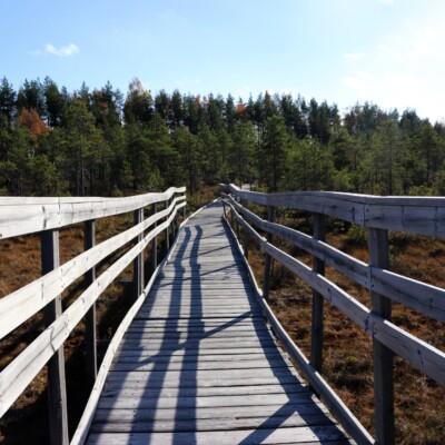 Uudelle uralle Yrittäjyystaitojen Buusti hankkeesta Etelä-Pohjanmaan soiden ennallistamisella.
