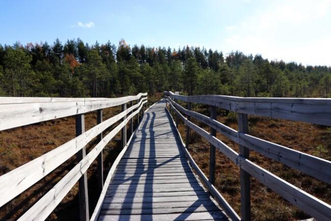 Uudelle uralle Yrittäjyystaitojen Buusti hankkeesta Etelä-Pohjanmaan soiden ennallistamisella.