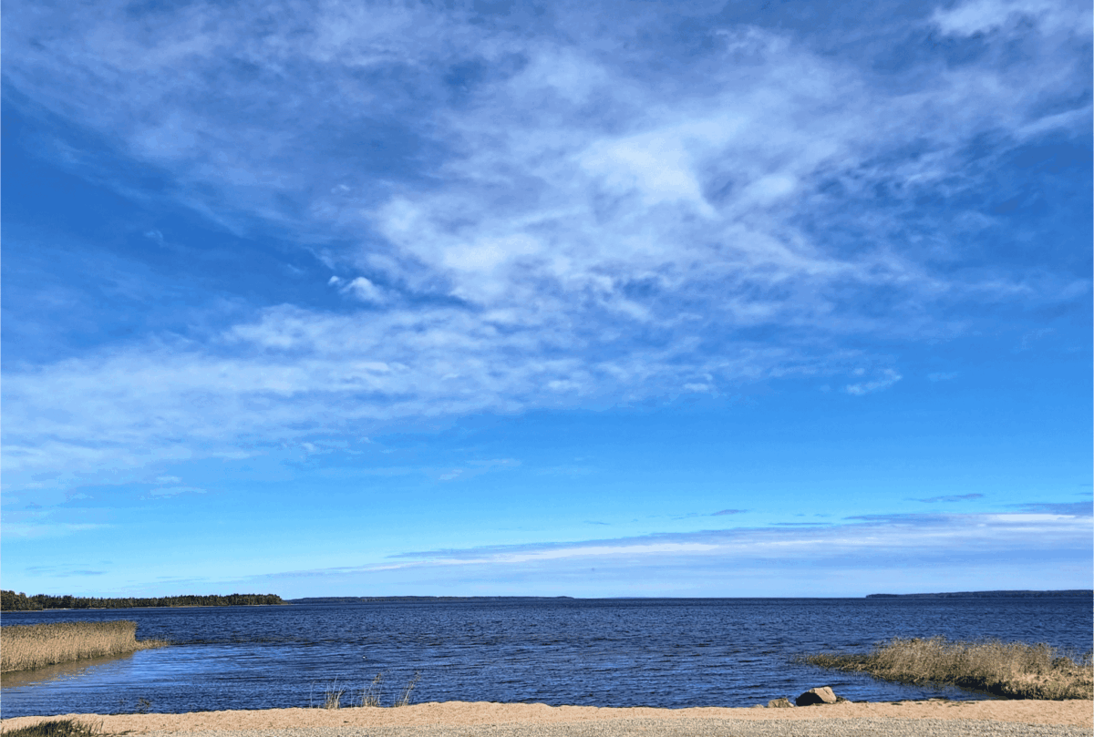 Viljelijän hengähdyshetki tarjosi rentouttavan pysähdyksen maatalousyrittäjän arkeen. Maisemakuva laavulta, jossa järvi siintää kirkkaana kesäisenä päivänä.